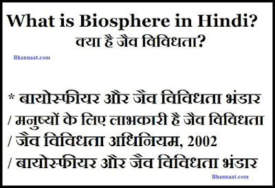 What is Biosphere in Hindi